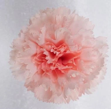 Carnation Soft New 224